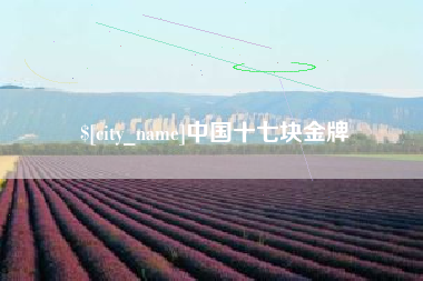 温州中国十七块金牌
