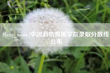 温州中国消防救援学院录取分数线公布