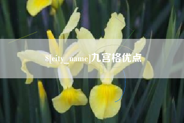 温州九宫格优点