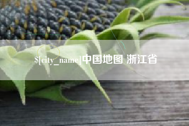 温州中国地图 浙江省