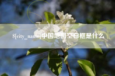 温州中国地图空白框是什么