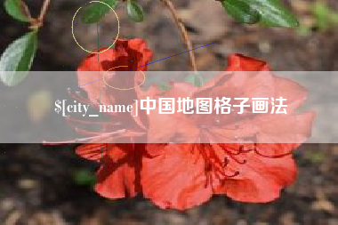 温州中国地图格子画法