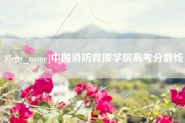 温州中国消防救援学院高考分数线