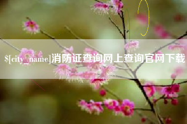 温州消防证查询网上查询官网下载