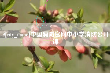 温州中国消防官网中小学消防公开课