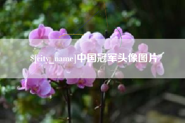 温州中国冠军头像图片