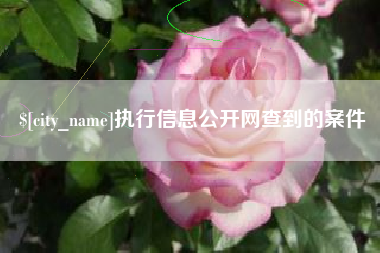 温州执行信息公开网查到的案件