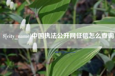 温州中国执法公开网征信怎么查询