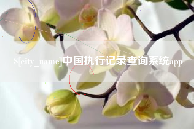 温州中国执行记录查询系统app