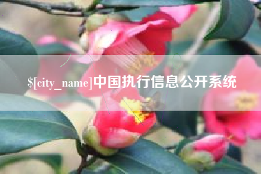 温州中国执行信息公开系统