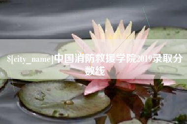 温州中国消防救援学院2019录取分数线