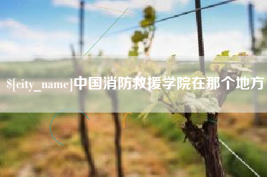 温州中国消防救援学院在那个地方