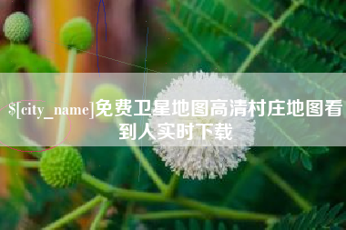 温州免费卫星地图高清村庄地图看到人实时下载