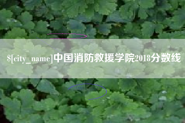 温州中国消防救援学院2018分数线