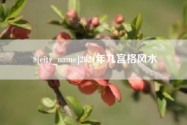 温州2021年九宫格风水