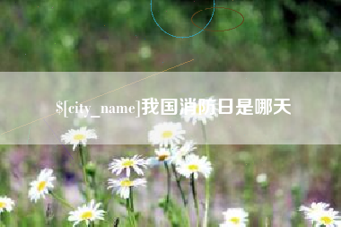 温州我国消防日是哪天
