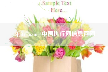 温州中国执行网信息官网