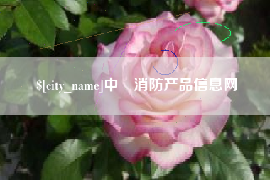 温州中囯消防产品信息网
