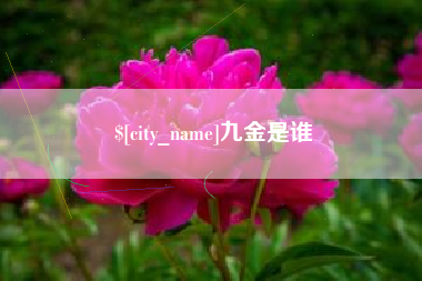 温州九金是谁