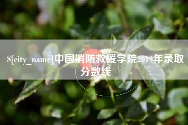 温州中国消防救援学院2019年录取分数线