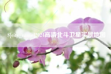温州2024高清北斗卫星实景地图