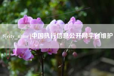 温州中国执行信息公开网平台维护
