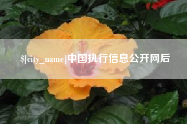 温州中国执行信息公开网后