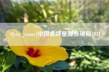 温州中国金牌是哪些项目2021