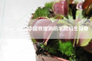 温州中国救援消防学院招生简章