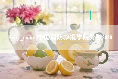 温州中国消防救援学院分数2020