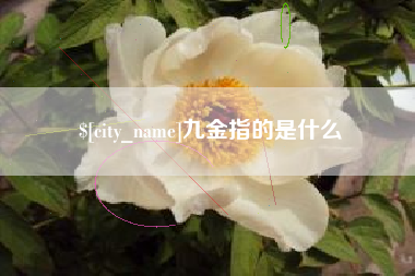 温州九金指的是什么