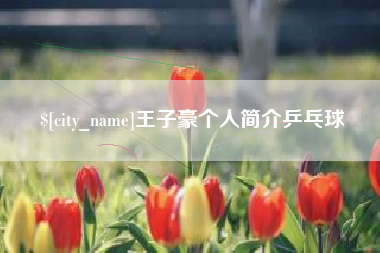 温州王子豪个人简介乒乓球