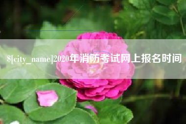 温州2020年消防考试网上报名时间