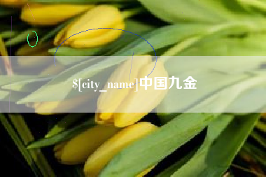 温州中国九金