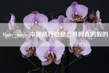 温州中国执行信息公开网真的假的