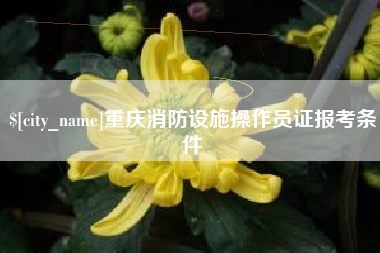温州重庆消防设施操作员证报考条件