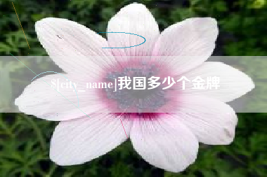温州我国多少个金牌