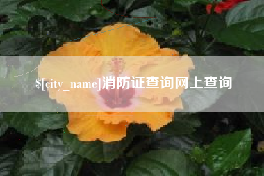 温州消防证查询网上查询