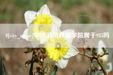温州中国消防救援学院属于985吗