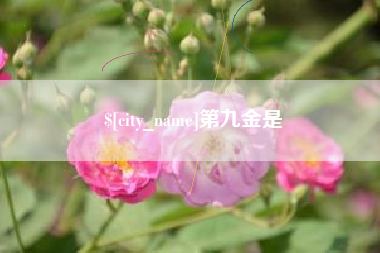 温州第九金是