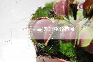 温州九宫格分布图