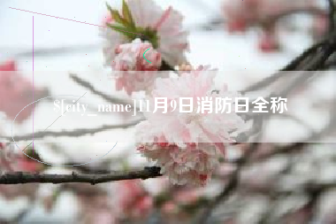 温州11月9日消防日全称