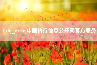 温州中国执行信息公开网官方服务