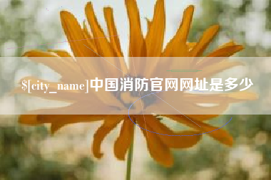 温州中国消防官网网址是多少