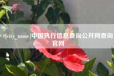 温州中国执行信息查询公开网查询官网