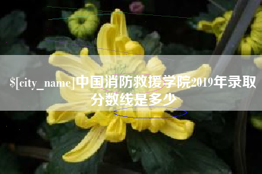 温州中国消防救援学院2019年录取分数线是多少