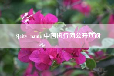 温州中国执行网公开查询