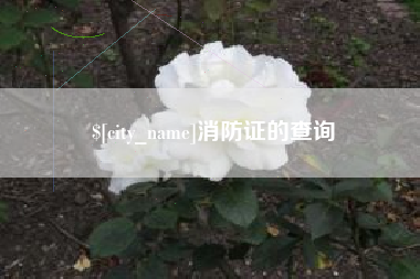 温州消防证的查询