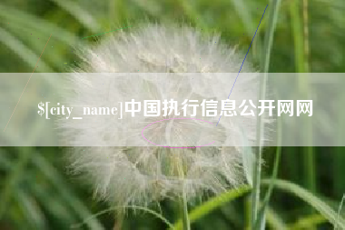 温州中国执行信息公开网网
