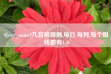 温州九宫格规则,每行,每列,每个粗线都有1-9